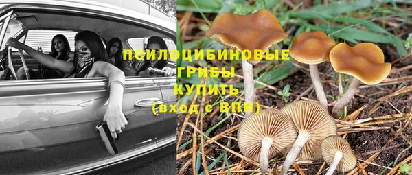 соль курить ск Волосово