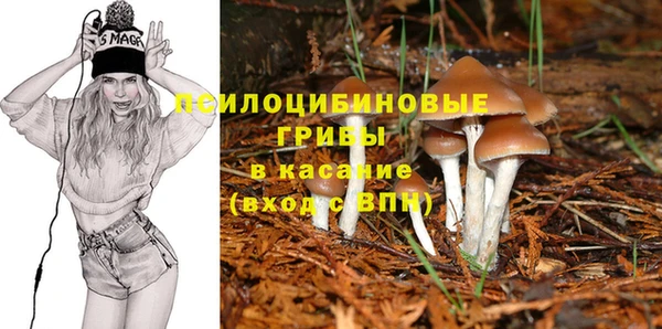 соль ск Волоколамск