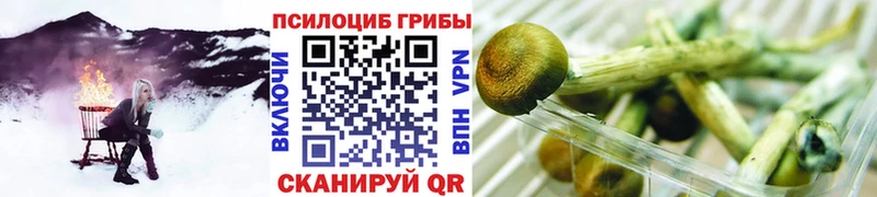 Псилоцибиновые грибы мухоморы  закладки  Липецк 